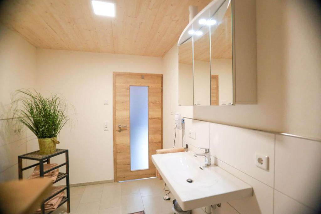 Apartamento Daheim Im Geissetal St. Blasien Exterior foto