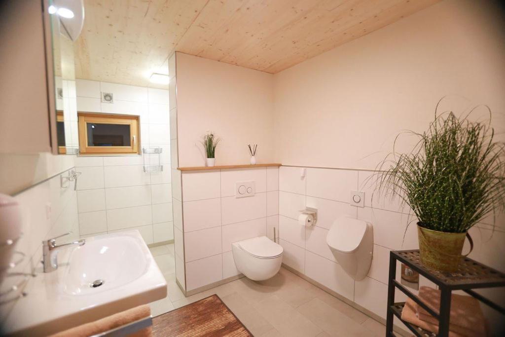 Apartamento Daheim Im Geissetal St. Blasien Exterior foto