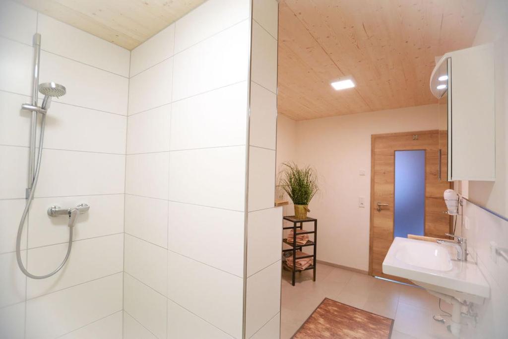 Apartamento Daheim Im Geissetal St. Blasien Exterior foto