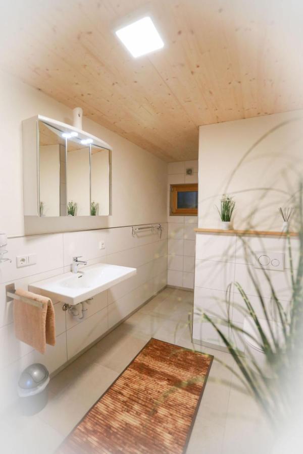 Apartamento Daheim Im Geissetal St. Blasien Exterior foto